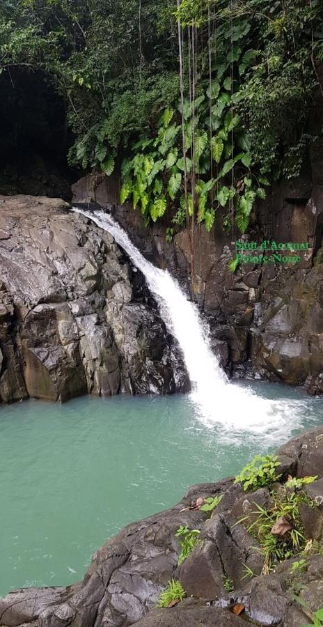 Villa Campeche 波尔兰特 外观 照片